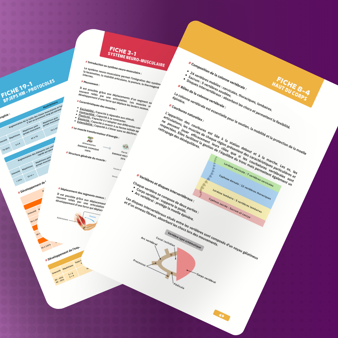 Nos fiches de révision BPJEPS