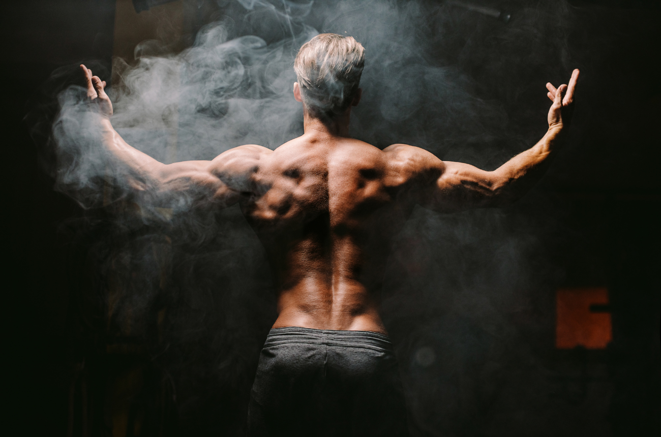 Quelles sont les types de fibres musculaires ?